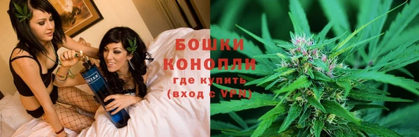 гидропоника Арсеньев